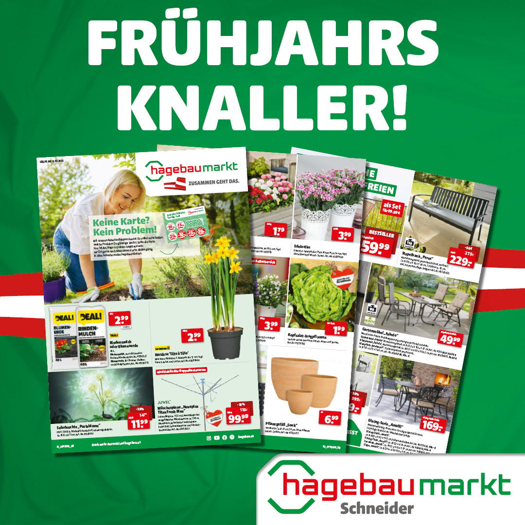 Prospekt AT - Frühjahrs Knaller