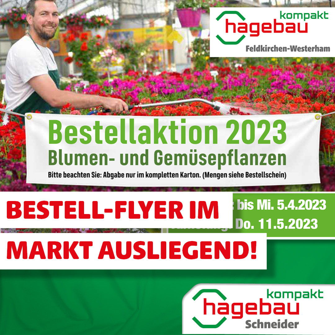 Bestellaktion 2023 - Blumen- und Gemüsepflanzen
