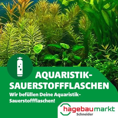 Wir befüllen Ihre Aquaristik-Sauerstoffflaschen!
